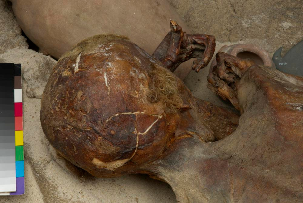 Sau đó, người xưa phủ cát lên ngôi mộ của Ginger. Ánh nắng mặt trời, sa mạc và cát khô nóng giúp thi hài người đàn ông này không bị phân hủy.