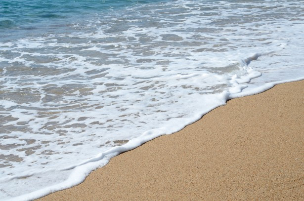 Theo lời kể của các nhân chứng, thủy quái bí ẩn khuyết mắt nhưng có miệng. Trên mình của nó bao phủ lớp lông cứng màu trắng. Thủy quái này có cơ thể to lớn với chiều dài lên tới 6m.