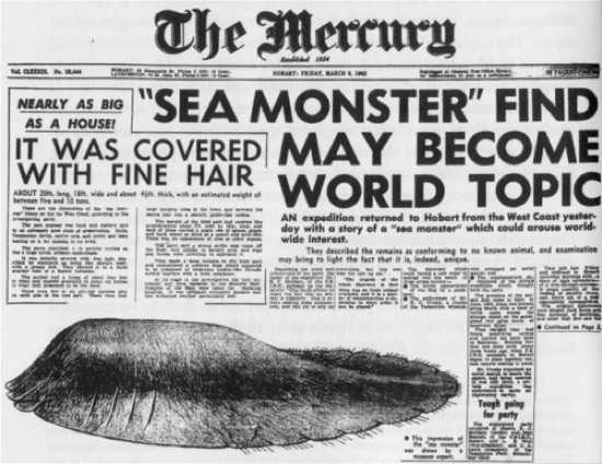 Vào tháng 8/1960, người dân phát hiện một xác thủy quái bí ẩn dạt vào bờ biển Tasmania. Khi ấy, người ta đặt cho nó cái tên "Tasmania Blob".