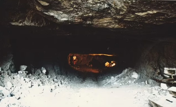 Các thành viên của “Temple Twelve" đến từ nhiều nước trên thế giới như Nga, Australia, Mỹ, Thụy Điển, Na Uy, Đức và Hà Lan. Họ dành cả mùa Hè năm nay để tìm kiếm kho báu “Lemminkainen Hoard”.