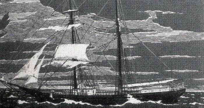 Thế nhưng, thuyền trưởng Benjamin Briggs và các thành viên thủy thủ đoàn không gửi đi bất cứ tín hiệu cầu cứu nào khiến một số người cho rằng họ gặp sự cố đột ngột nên không kịp phản ứng.