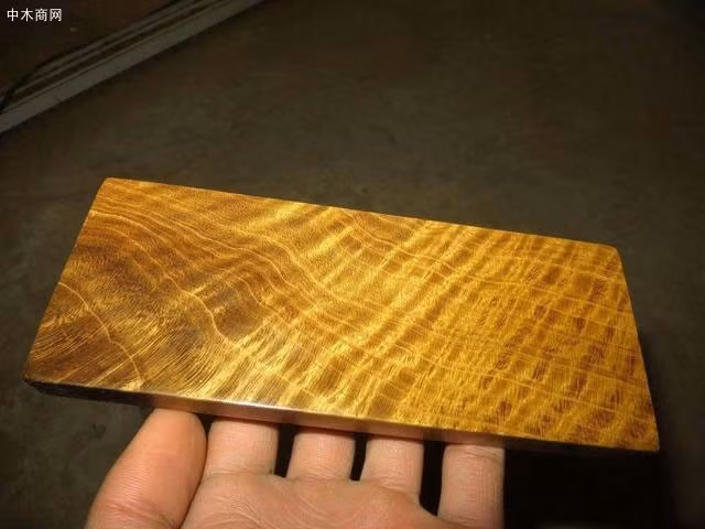 Thêm nữa, trước khi chôn cất, các quan tài gỗ không dùng các chất bảo quản.