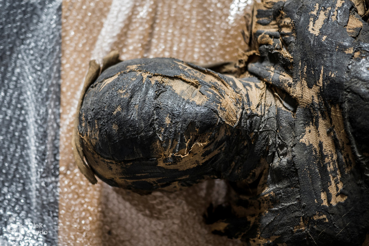 Kết quả các kiểm tra cho thấy xác ướp này thuộc về một phụ nữ qua đời khi khoảng 20 - 30 tuổi. Kích thước hộp sọ của bào thai cho thấy người này đang mang thai từ 26 - 28 tuần. Người phụ nữ mang thai có mái tóc xoăn dài đến vai. Việc tìm thấy xác ướp phụ nữ mang thai hứa hẹn sẽ giúp giới khoa học nghiên cứu quá trình mang thai và nghi thức mai táng liên quan đến nhóm đối tượng này.