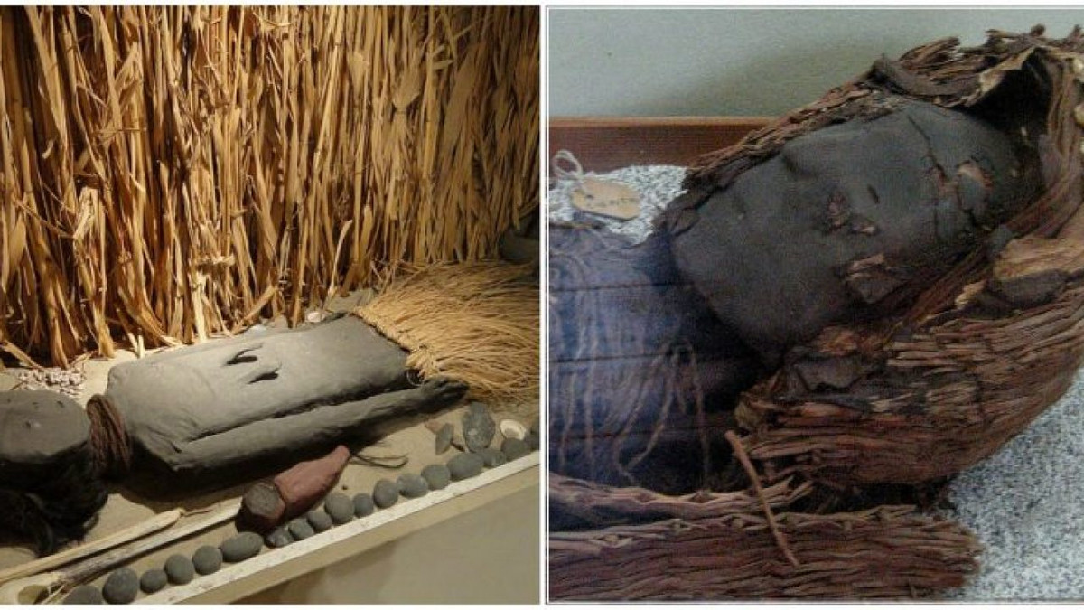 Nhà nhân chủng học Bernardo Arriaza cho hay, người Chinchorro đã thực hành ướp xác có chủ đích. Theo ông, nền văn hóa này dùng những phương pháp để bảo quản tử thi thay vì ướp xác tự nhiên trong điều kiện khí hậu khô hạn.