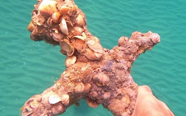 Theo các chuyên gia, thợ lặn Katzin tìm thấy nhiều cổ vật như vậy là do cát ở dưới đáy biển dịch chuyển vì các cơn bão nên làm lộ ra những báu vật quý giá.