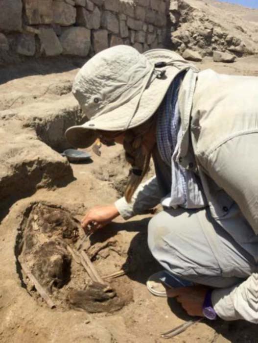 Ông Eeckhout suy đoán những người này có thể là nạn nhân của nghi lễ hiến tế hoặc tử vong vì bệnh tật. Sau khi qua đời, họ được chôn cất trong cùng một ngôi mộ.