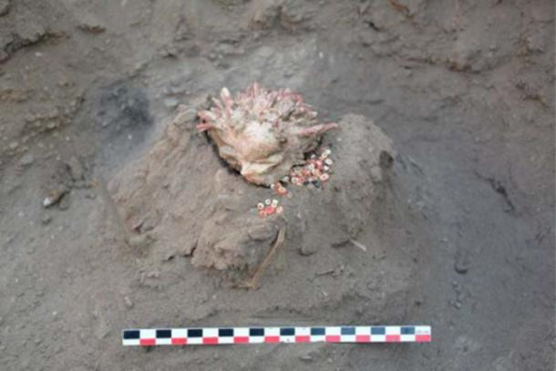 Trong khi đó, hơn 80 bộ hài cốt thuộc cả 2 giới tính và ở những độ tuổi khác nhau. Các chuyên gia phát hiện một điều đặc biệt là hài cốt của những người trưởng thành được đặt ở giữa.