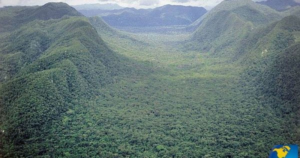 Tàn tích thành phố của thần Khỉ cũng có thể bị hủy hoại trong các hoạt động bất hợp pháp. Vì vậy, giới chuyên gia chạy đua với thời gian để sớm xác định được vị trí chính xác của thành phố La Ciudad Blanca.