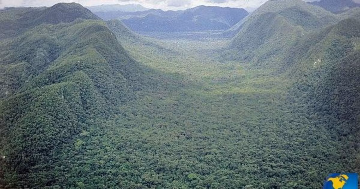 Tàn tích thành phố của thần Khỉ cũng có thể bị hủy hoại trong các hoạt động bất hợp pháp. Vì vậy, giới chuyên gia chạy đua với thời gian để sớm xác định được vị trí chính xác của thành phố La Ciudad Blanca.
