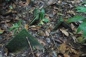 Để đưa ra nhận định này, các chuyên gia sử dụng máy quét laze và các công nghệ hiện đại nhằm tìm kiếm các cấu trúc và cổ vật ở bên dưới khu rừng. Theo đó, họ tìm thấy một số tàn tích được cho là của thành phố La Ciudad Blanca.