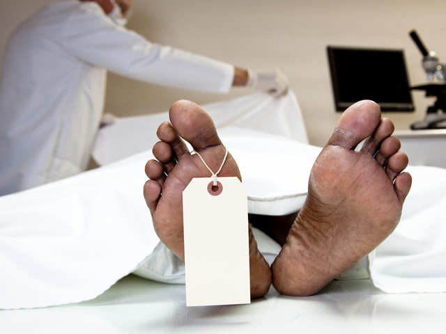 "Chúng tôi xem Timeship như hầm trữ vàng Fort Knox dành cho vật liệu sinh học. ADN, mẫu mô và bệnh nhân đông lạnh xác được đặt ở Timeship trong tình trạng an toàn trước mọi mối đe dọa, cả tự nhiên và nhân tạo, suốt hàng trăm năm", kiến trúc sư Valentine cho hay.