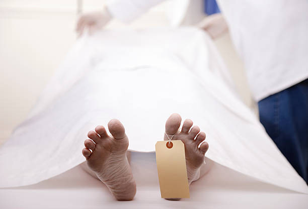 Khi những thông tin về Timeship Building được công bố, một bộ phận dư luận chỉ trích và cho rằng, dự án tử thi đông lạnh chờ hồi sinh trong tương lai chỉ dành cho những người giàu có. Chỉ những người có rất nhiều tiền mới có thể chi trả cho dịch vụ này.