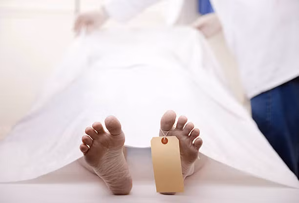 Khi những thông tin về Timeship Building được công bố, một bộ phận dư luận chỉ trích và cho rằng, dự án tử thi đông lạnh chờ hồi sinh trong tương lai chỉ dành cho những người giàu có. Chỉ những người có rất nhiều tiền mới có thể chi trả cho dịch vụ này.