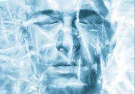 Không chỉ lưu giữ và bảo quản tử thi đông lạnh, Timeship Building còn được sử dụng để lưu trữ những vật liệu sinh học như: ADN, tế bào, mô và nội tạng cấy ghép. Mục tiêu của dự án này là "đưa con người đến tương lai".