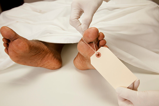 Kiến trúc sư Valentine cho biết thêm Timeship Building được thiết kế để có thể trụ vững trước các cuộc tấn công khủng bố, mực nước biển dâng do nóng lên toàn cầu, gián đoạn nguồn cung cấp năng lượng do gặp thảm họa tồi tệ...