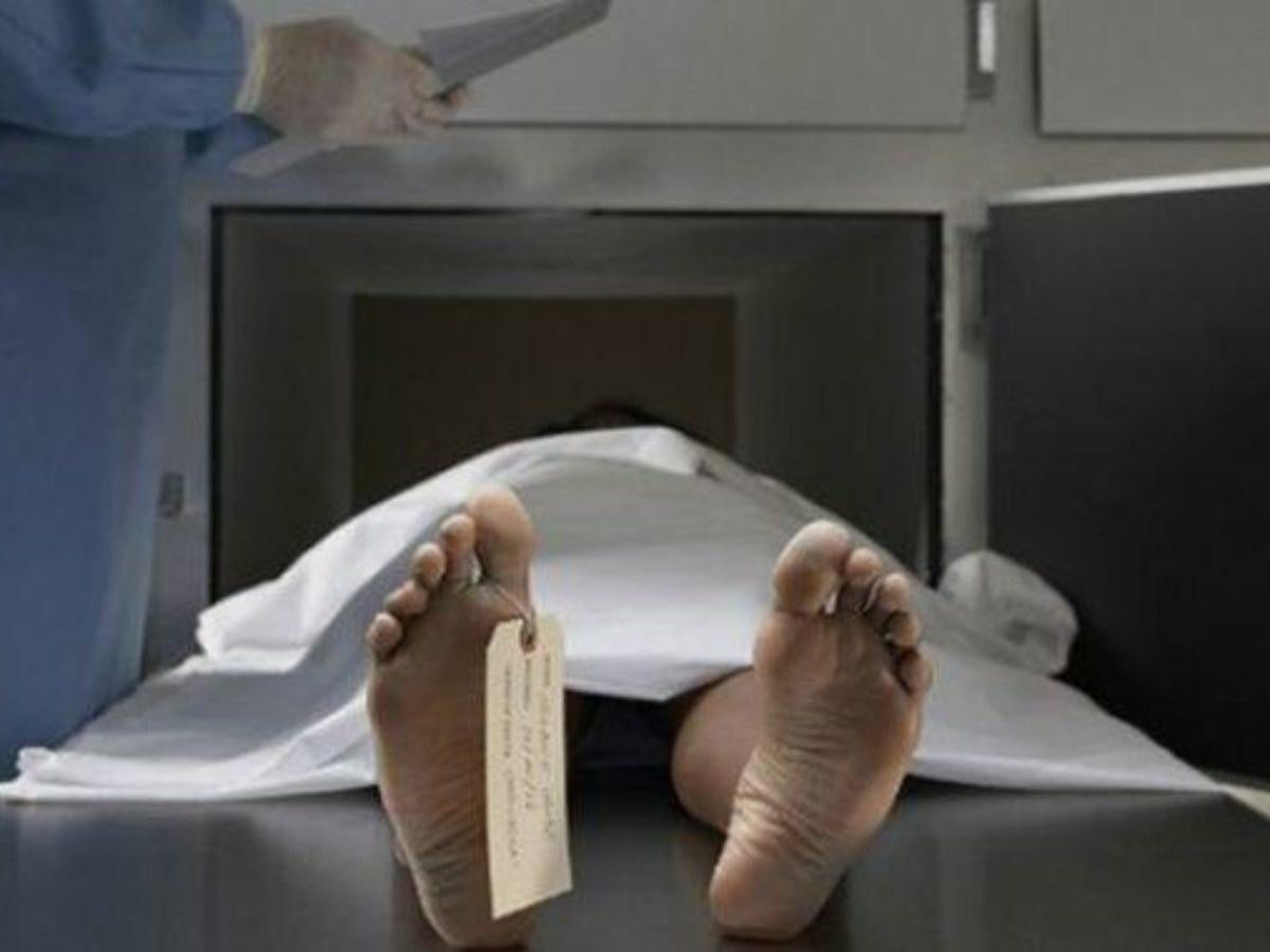 Timeship Building được kỳ vọng sẽ đóng vai trò "trung tâm của sự bất tử" - nơi con người có thể sống khỏe mạnh mãi mãi.