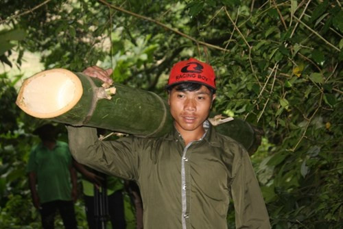 Một khúc tre khổng lồ.