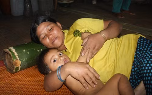 Một khúc tre được dân làng dùng làm gối.