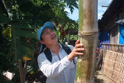 Những khúc tre “khủng” khiến nhiều người dưới xuôi lên đây phải tròn xoe mắt khi lần đầu nhìn thấy.