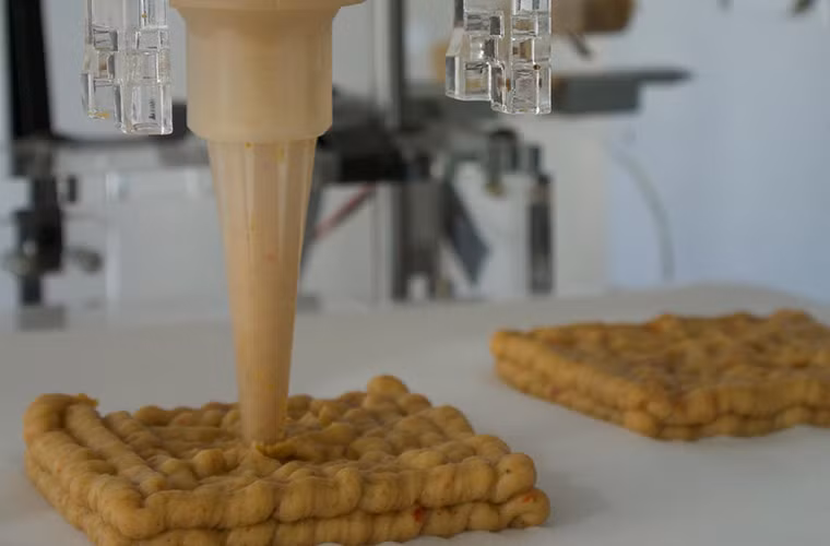 Món thịt kẹp chay đang được in ra...