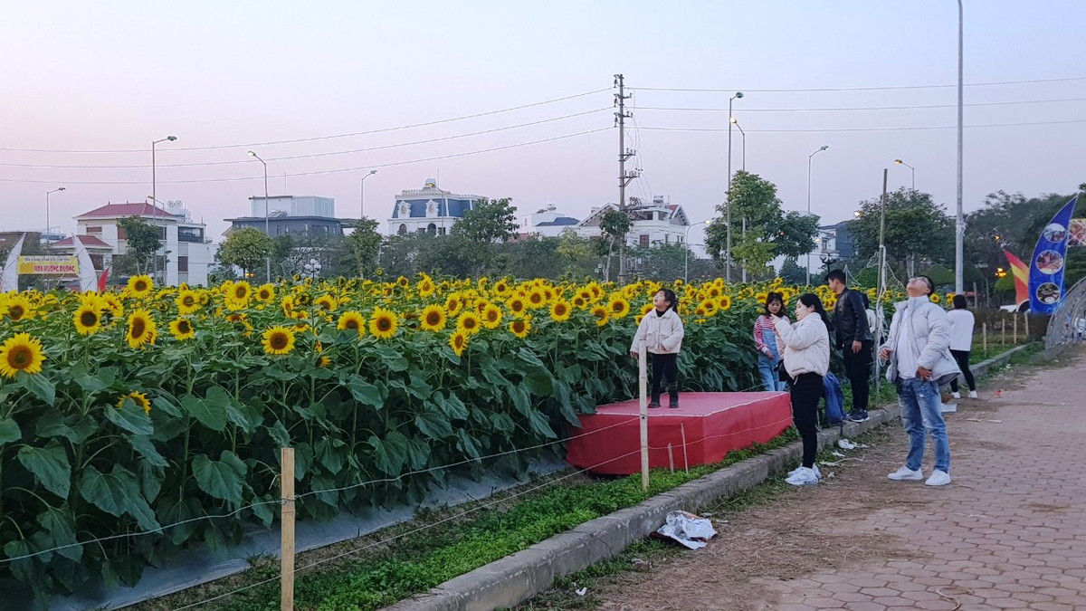 Dù trời tối muộn nhưng vẫn đông bạn trẻ đến vườn hoa.