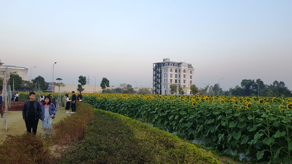 Đây hứa hẹn sẽ là điểm đến lý tưởng cho du khách khi đến với Thành phố Hải Dương