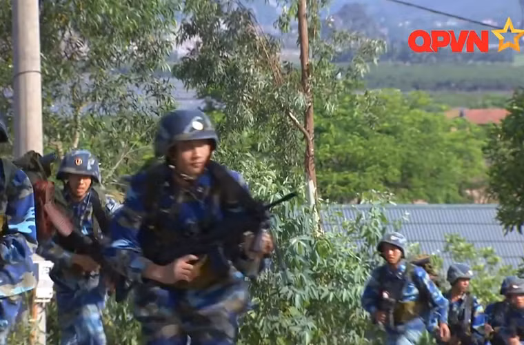 Hải quân Đánh bộ là một binh chủng thuộc Quân chủng Hải quân Việt Nam có nhiệm vụ đóng quân bảo vệ các đảo, đá hoặc tấn công, đổ bộ bằng đường biển lên đất liền hoặc lên các đảo bị nước ngoài chiếm đóng. Bảo vệ chủ quyền lãnh thổ, lãnh hải của Việt Nam.