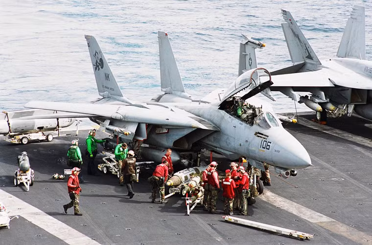 F-14 Tomcat (mèo đực) là máy bay chiến đấu kiểu cánh cụp cánh xòe, hai động cơ, hai chỗ ngồi, tốc độ siêu âm do Tổng Cty hàng không Grumman phát triển từ cuối năm 1970. Nguyên mẫu thực hiện chuyến thử đầu tiên vào tháng 12/1970, chính thức biên chế cho Hải quân Mỹ mà trực tiếp là liên đội hàng không trên tàu sân bay USS Enterprise vào ngày 22/9/1974.