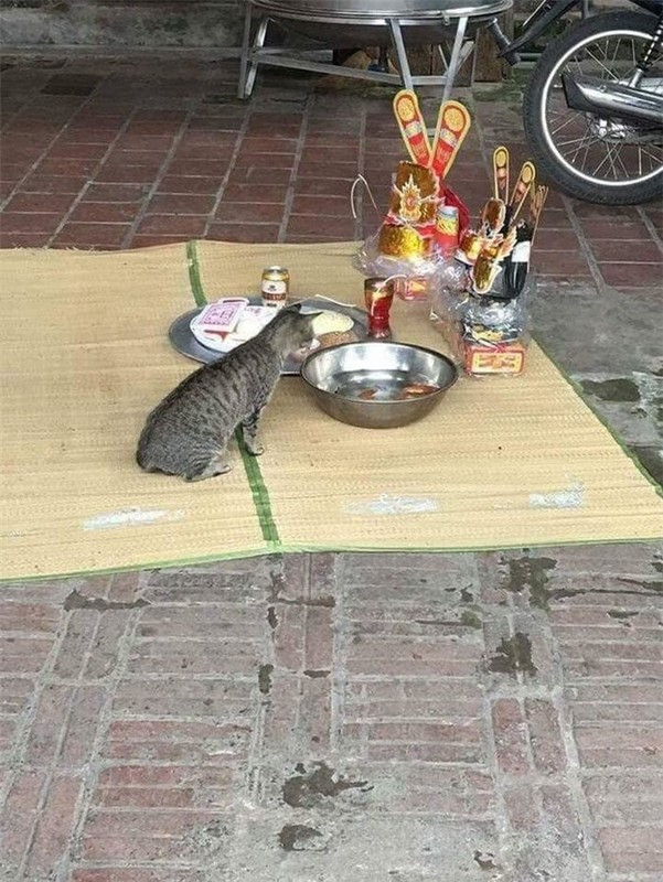 Cúng xong là được ăn phải không?