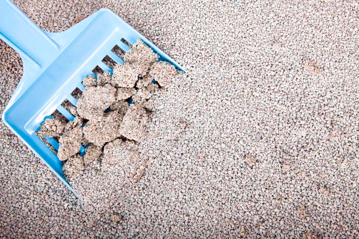 11 meo khu mui hoi quan ao nhanh chong khong can giat-Hinh-2