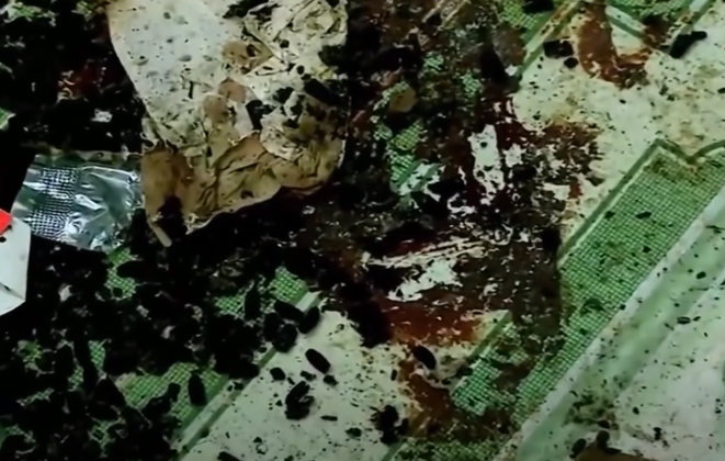 Ngoài ra, ở chân nạn nhân có có sợi dây điện đang buộc dở, trên sàn nhà có nhiều vết máu, tay nắm cửa cũng dính máu, nhận định hung thủ sau khi sát hại đã trói nạn nhân bằng dây điện rồi khóa cửa ra ngoài. Bên cạnh đó, ngoài chiếc xe Dream để ngoài sân, anh Hòa còn sử dụng chiếc xe Exciter mang BS: 88B1-233.91, nhưng hiện xe này không còn tại nơi ở.