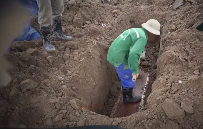 Ngày 31/12/2019, Cơ quan Cảnh sát điều tra Công an tỉnh Thái Bình đã quyết định khai quật và khám nghiệm tử thi để làm rõ nguyên nhân chết. 