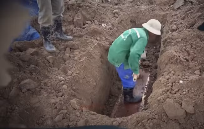 Ngày 31/12/2019, Cơ quan Cảnh sát điều tra Công an tỉnh Thái Bình đã quyết định khai quật và khám nghiệm tử thi để làm rõ nguyên nhân chết. 