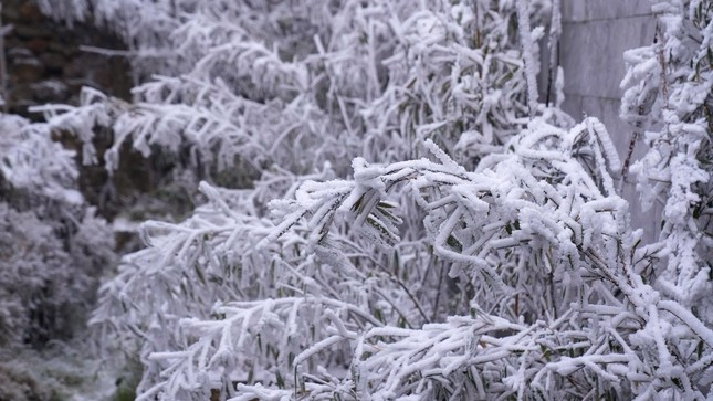 Địa phương chủ động ứng phó đợt rét đậm, rét hại kéo dài Dia phuong chu dong ung pho dot ret dam, ret hai keo dai
