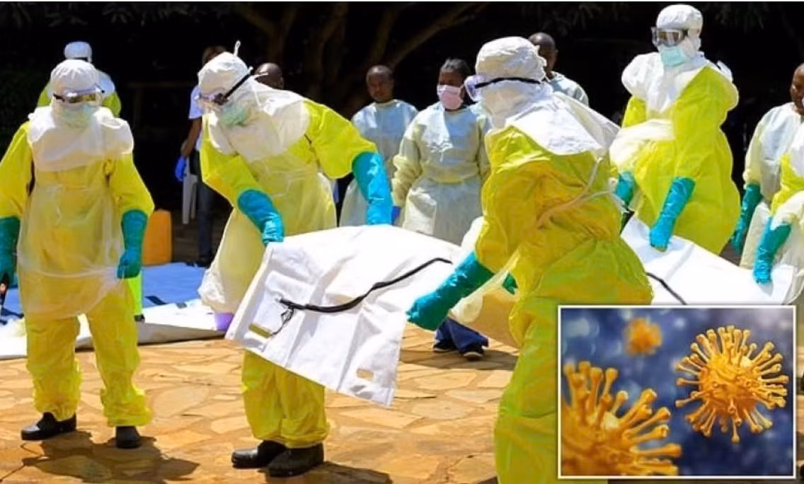 Benh la o Congo tu vong trong 48h, WHO vao cuoc tim nguyen nhan