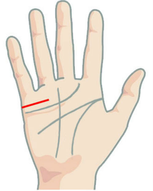 Nếu sở hữu một đường hôn đậm nét, bạn sẽ tìm được người bạn đời lý tưởng và sống một cuộc sống hạnh phúc.