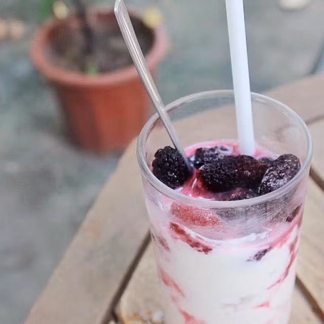 Khi đã ủ xong, sữa chua có vị thơm ngon, mịn dẻo và chua chua man mát của dâu tằm. Bạn nên bảo quản trong tủ lạnh để ăn dần. 