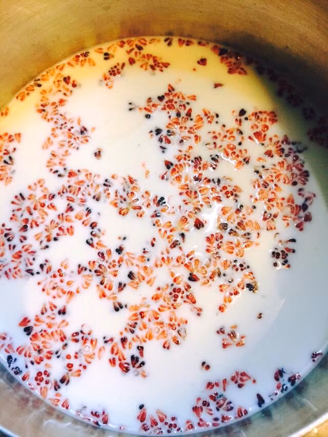 Bước 4: Đổ hạt dâu đã tách vào sữa chua rồi đảo đều. 