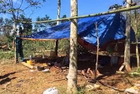 Bi ham hiep lien tuc nhieu lan, be 15 tuoi kiet suc nga quy giua duong