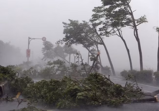 Ap thap nhiet doi gay loc xoay, voi rong o Nam Bo