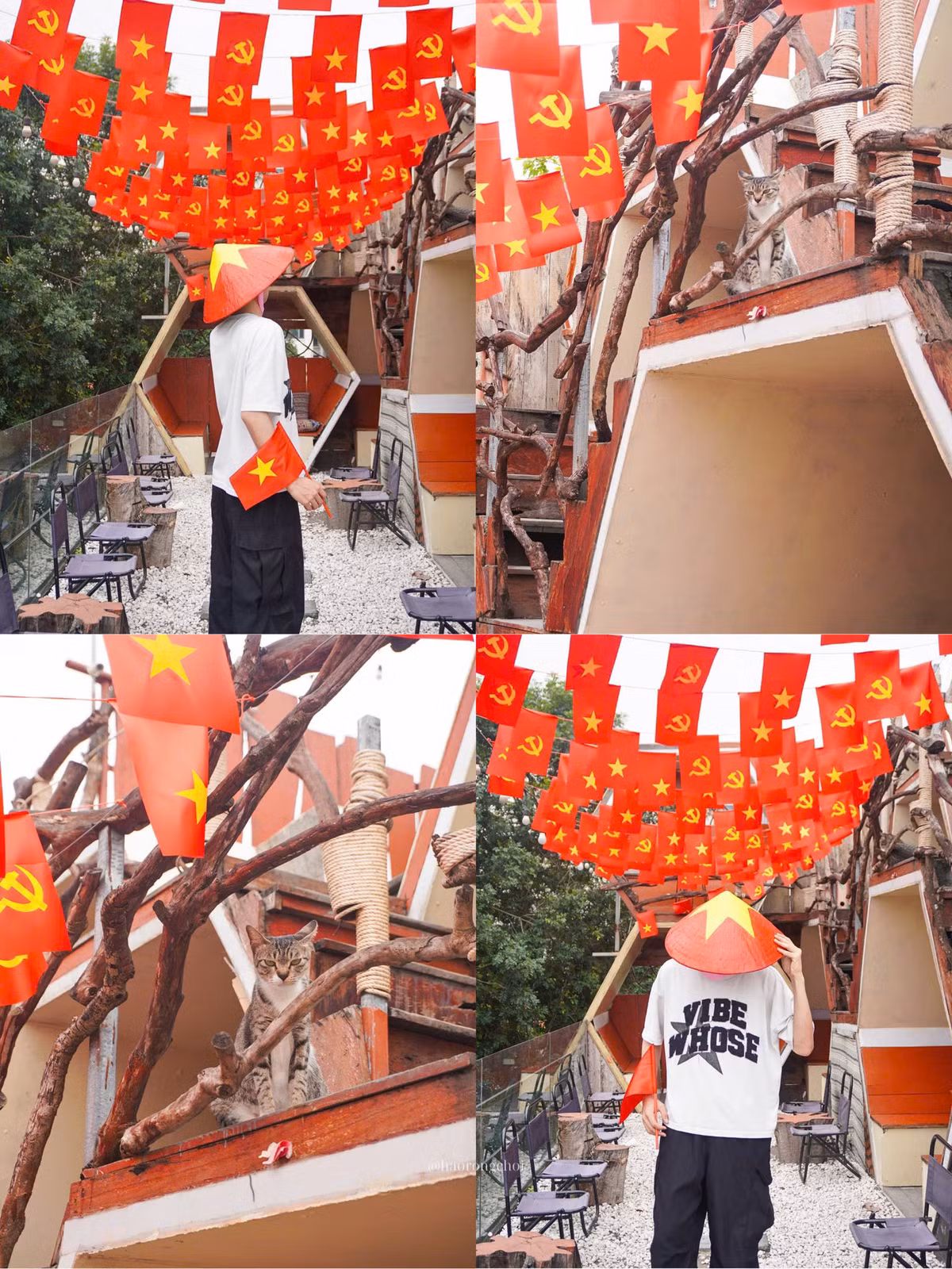 Từ các quán cà phê đường phố đến chuỗi cà phê sang chảnh, giới trẻ đang nô nức rủ nhau check-in với ly nước độc đáo mang đậm màu sắc dân tộc. Những ly matcha, trà sữa, cà phê sữa đá... được khéo léo tạo hình bằng bọt sữa, siro, hoa quả hoặc lớp kem phủ, tái hiện lại lá cờ đỏ rực rỡ với ngôi sao vàng 5 cánh nổi bật.