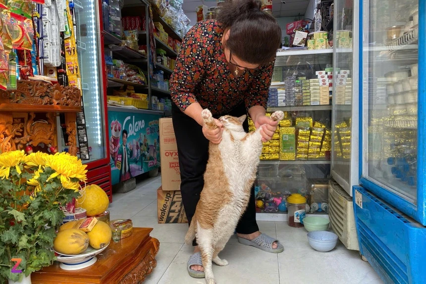 Với ngoại hình mũm mĩm, gương mặt ngáo ngơ đặc trưng và phong thái “trùm cuối”, Chip nhanh chóng trở thành “idol mới” trong lòng cộng đồng yêu thú cưng. (Ảnh: Znews)