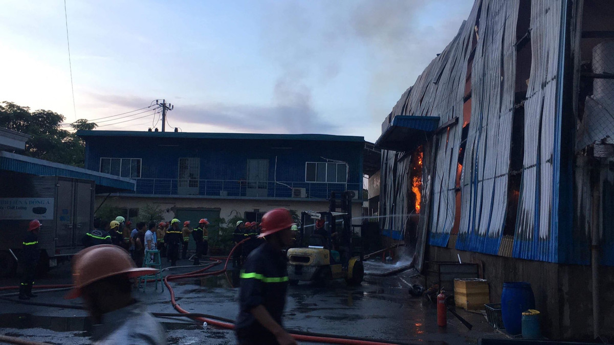 Công ty Phước Sinh, thiết kế kho thiết kế theo hình chữ L.