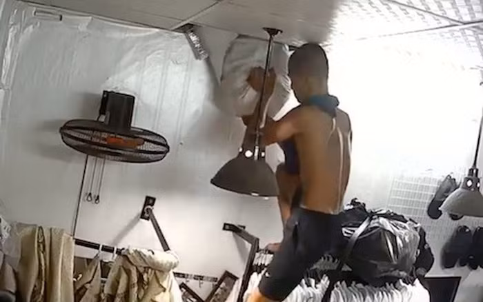  Đi ăn trộm nhưng “lỡ tay” chỉnh camera ngay thẳng mặt: Sự việc xảy ra tại một cửa hàng quần áo ở thành phố Vinh (tnh Nghệ An) vào lúc 2h ngày 13/8/2017. Dữ liệu trên camera an ninh trong cửa hàng cho thấy, vào thời điểm trên, một người đàn ông đầu trọc, cởi trần, mang theo áo phông và chiếc bật lửa gas đột nhập cửa hàng.