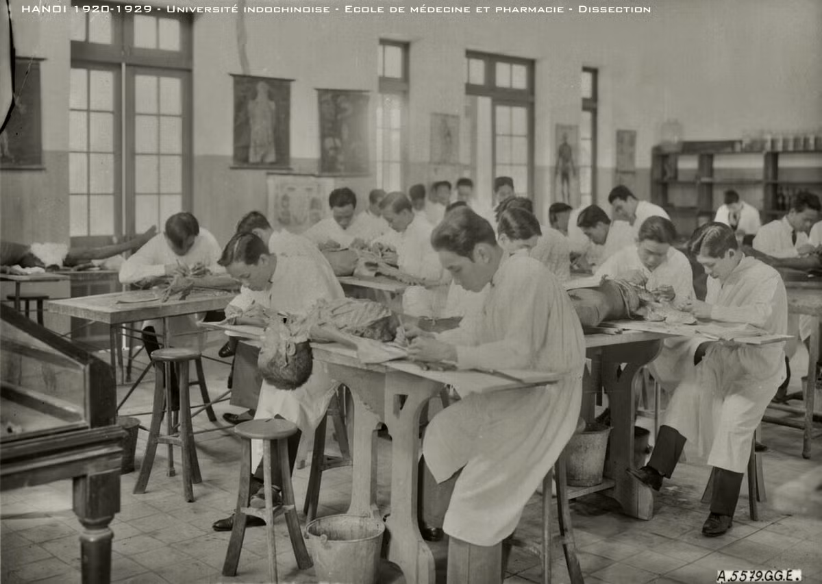 Các sinh viên y - dược thực hành giải phẫu trên thi thể người. Ảnh: Manhhai Flickr.