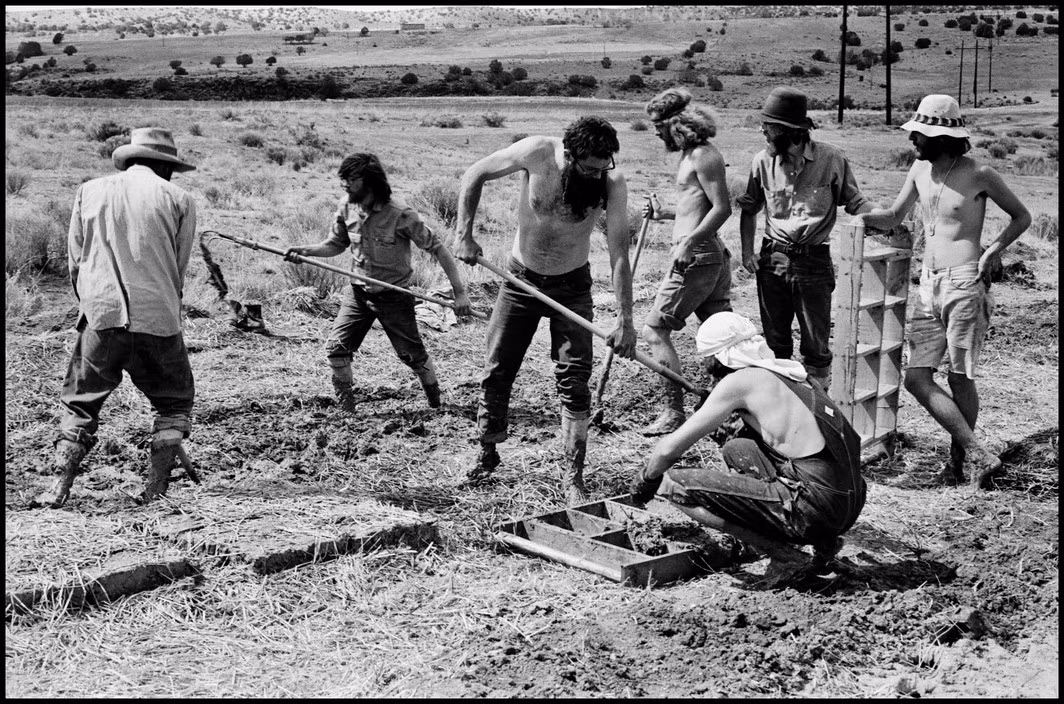 Các xã viên New Buffalo làm ruộng để tự cung cấp thực phẩm cho cộng đồng, 1969. Những người Hippie chủ trương chống lại chủ nghĩa tiêu thụ của thế giới hiện đại. Ảnh: Dennis Stock/ Magnum Photos.