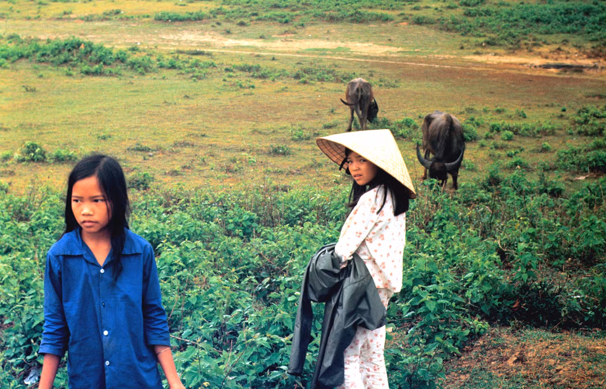 Các cô bé bán chuối. Ảnh: Arty611.smugmug.com.