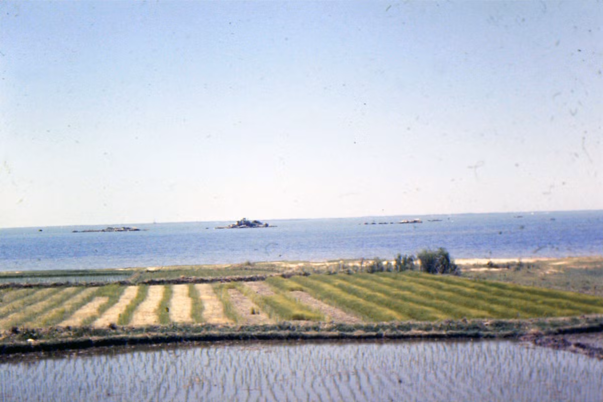 Đồng ruộng nằm sát bờ biển, phía xa là những đảo đá nhấp nhô. Ảnh: Jack McCabe.