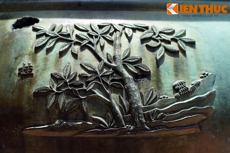 Loài cây gỗ thứ hai trên Nghị đỉnh là "Quế", tức cây quế, loài cây được trồng để khai thác vỏ và thân gỗ với nhiều công dụng như làm gia vị, dược liệu, đồ gỗ mỹ nghệ...