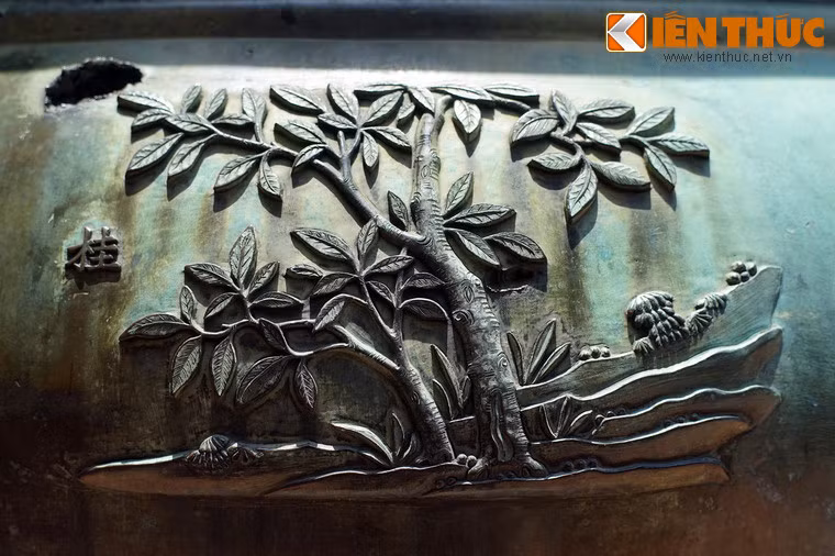 Loài cây gỗ thứ hai trên Nghị đỉnh là "Quế", tức cây quế, loài cây được trồng để khai thác vỏ và thân gỗ với nhiều công dụng như làm gia vị, dược liệu, đồ gỗ mỹ nghệ...